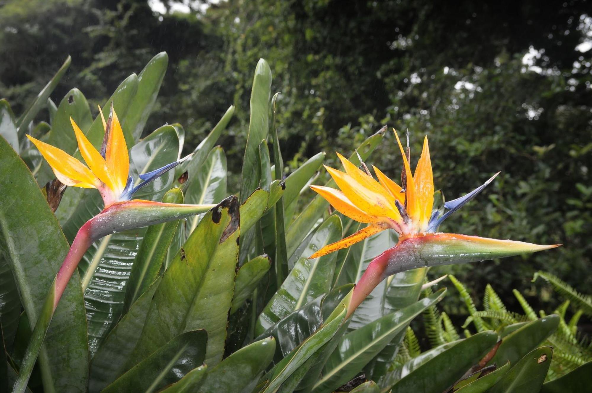 Mount Azimbo Lodge หลุยส์ทริคาร์ดท์ ภายนอก รูปภาพ